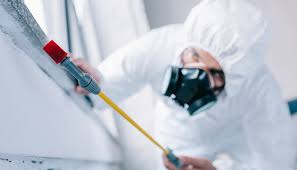 Best Residential Pest Control  in Macdonnell Heights, NY